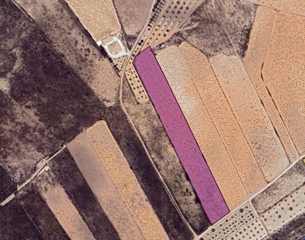 Terreno Não Urbanizado para venda em Pinoso - 34 900 € (Ref: 9471804)