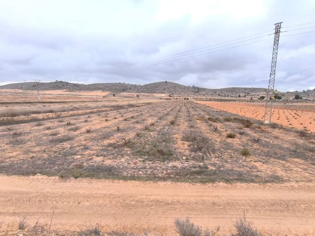 Terreno Não Urbanizado para venda em Pinoso - 34 900 € (Ref: 9471804)