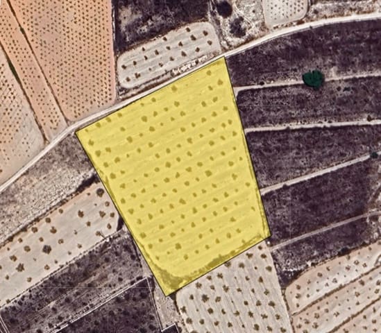 Terre non Aménagée à vendre à Pinoso - 35 900 € (Ref: 9471805)