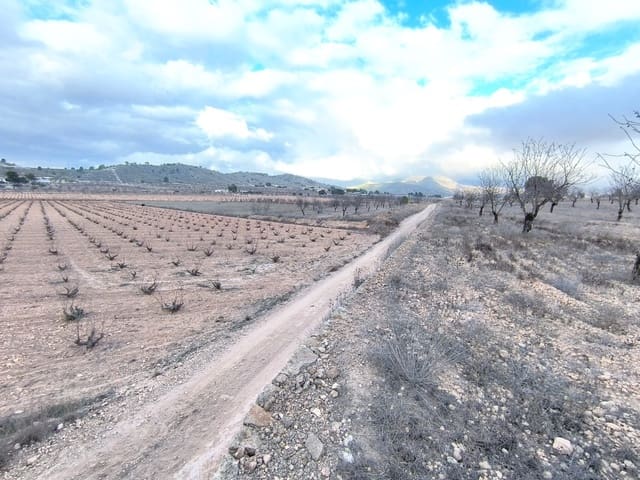 Terre non Aménagée à vendre à Pinoso - 35 900 € (Ref: 9471805)