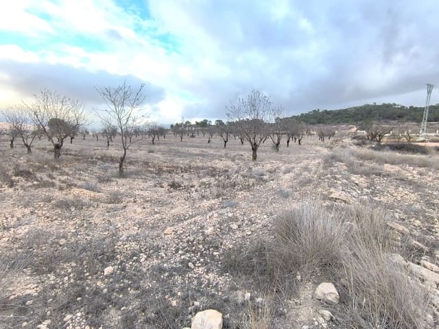 Terre non Aménagée à vendre à Pinoso - 35 900 € (Ref: 9471805)