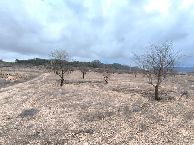 Terre non Aménagée à vendre à Pinoso - 35 900 € (Ref: 9471805)