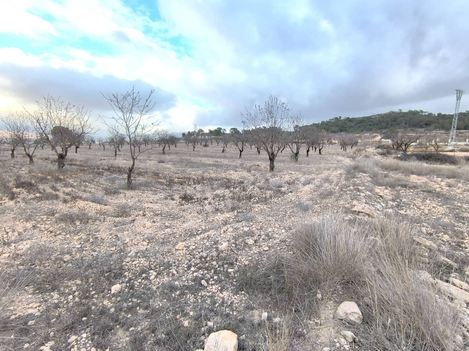 Undeveloped Land for sale in L'Alguena / Alguenya - € 35,900 (Ref: 9471805)