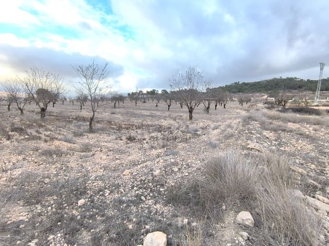 Undeveloped Land for sale in L'Algueña / Alguenya - € 35,900 (Ref: 9471805)