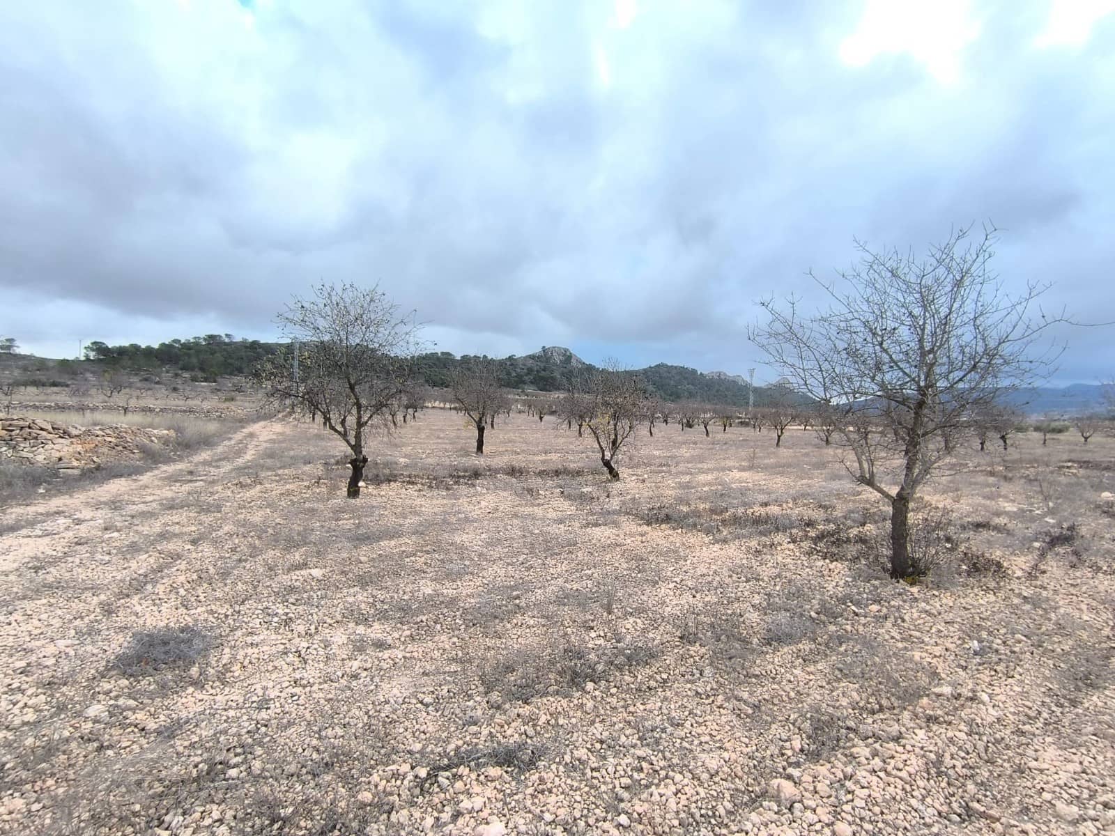 Undeveloped Land for sale in L'Alguena / Alguenya - € 35,900 (Ref: 9471805)
