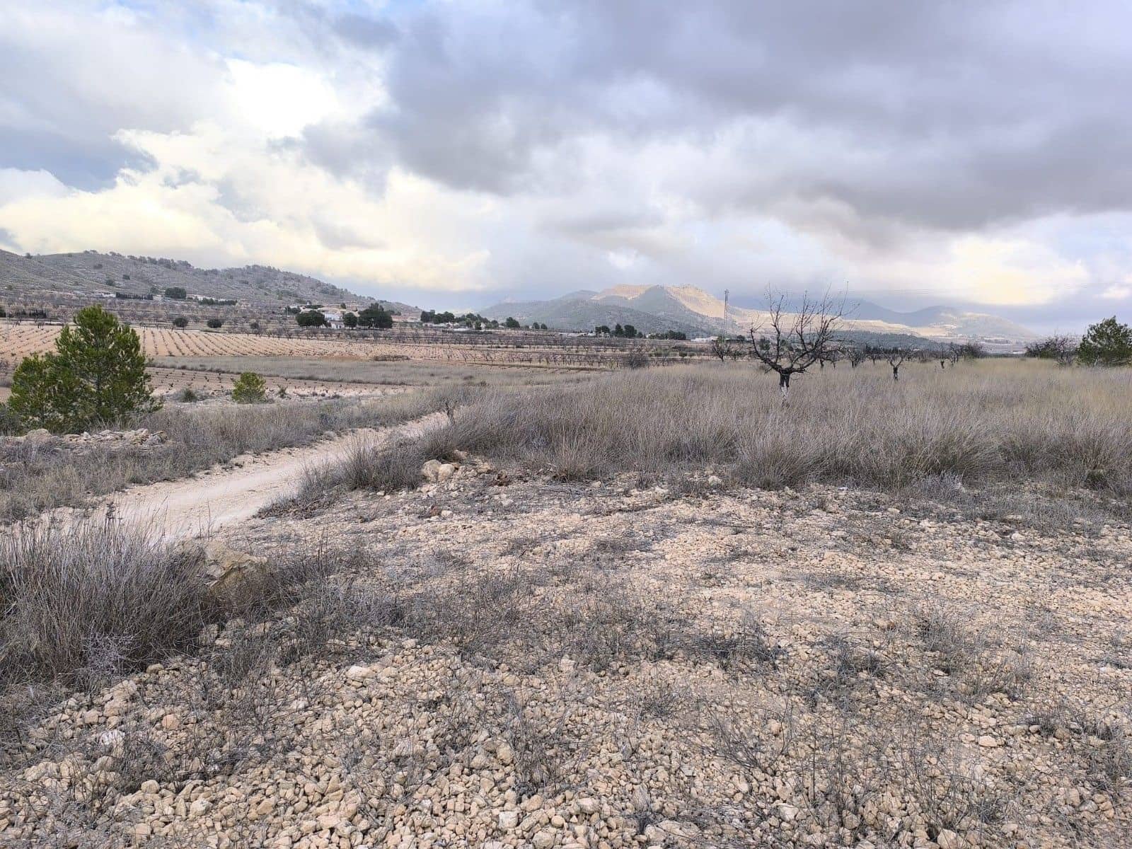 Undeveloped Land for sale in L'Alguena / Alguenya - € 35,900 (Ref: 9471805)