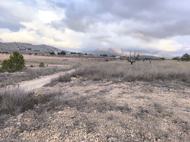 Mark till salu i L'Algueña / Alguenya - 35 900 € (Ref: 9471805)