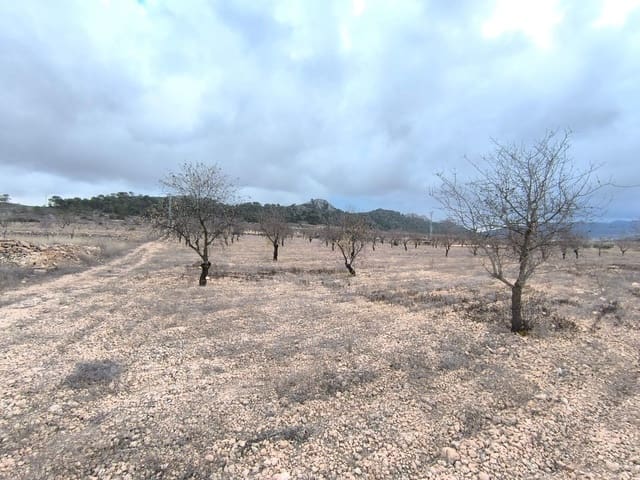 Mark till salu i L'Algueña / Alguenya - 35 900 € (Ref: 9471805)