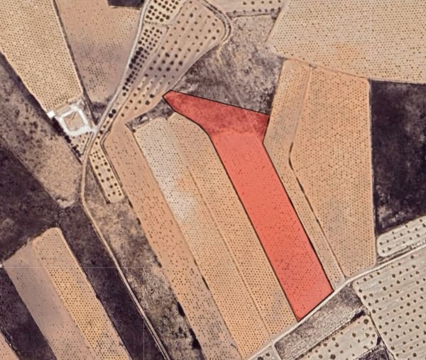 Landgrundstück zu verkaufen in Pinoso - 38.900 € (Ref: 9471806)