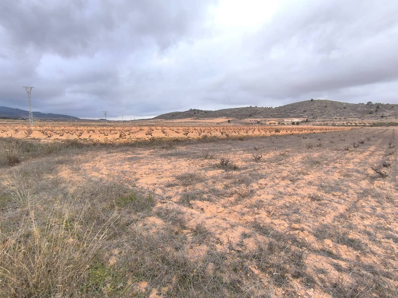 Landgrundstück zu verkaufen in Pinoso - 38.900 € (Ref: 9471806)