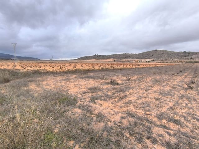 Landgrundstück zu verkaufen in Pinoso - 38.900 € (Ref: 9471806)