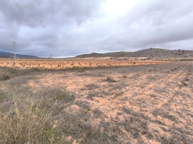 Mark till salu i L'Algueña / Alguenya - 38 900 € (Ref: 9471806)