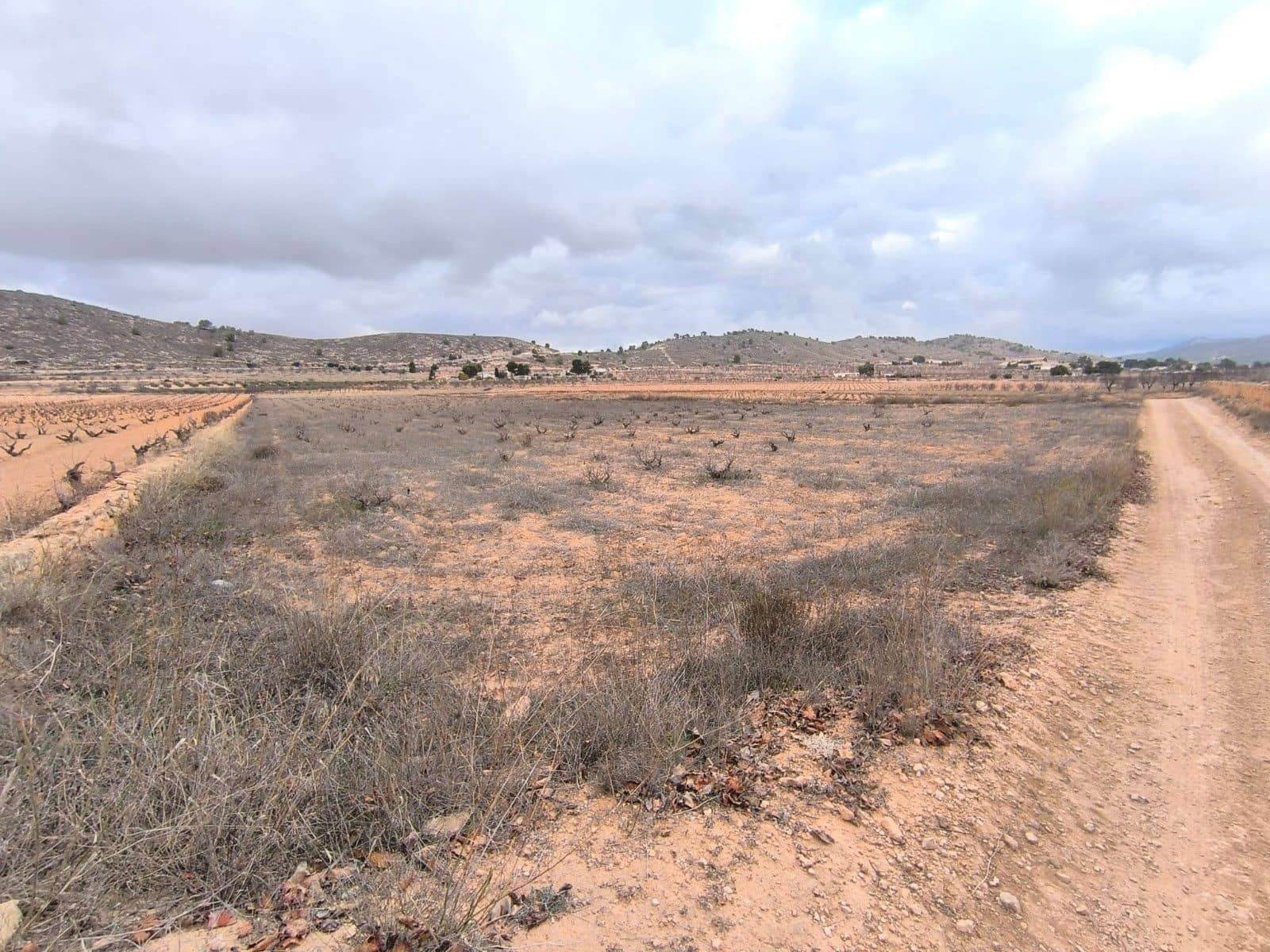 Undeveloped Land for sale in L'Alguena / Alguenya - € 38,900 (Ref: 9471806)