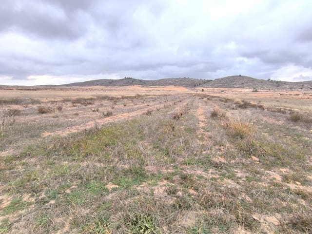 Terre non Aménagée à vendre à L'Algueña / Alguenya - 49 990 € (Ref: 9471807)