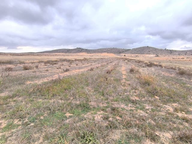 Mark till salu i Pinoso - 49 990 € (Ref: 9471807)