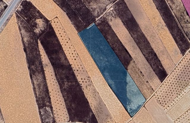 Terreno/Finca Rústica en Pinoso en venta - 49.990 € (Ref: 9471808)