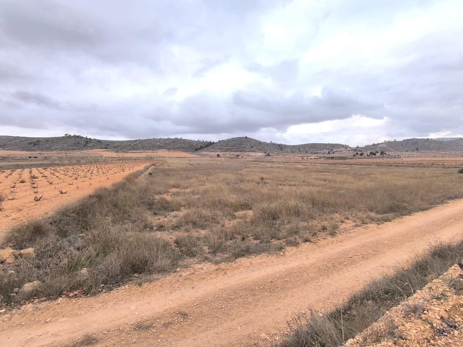 Terreno/Finca Rústica en Pinoso en venta - 49.990 € (Ref: 9471808)