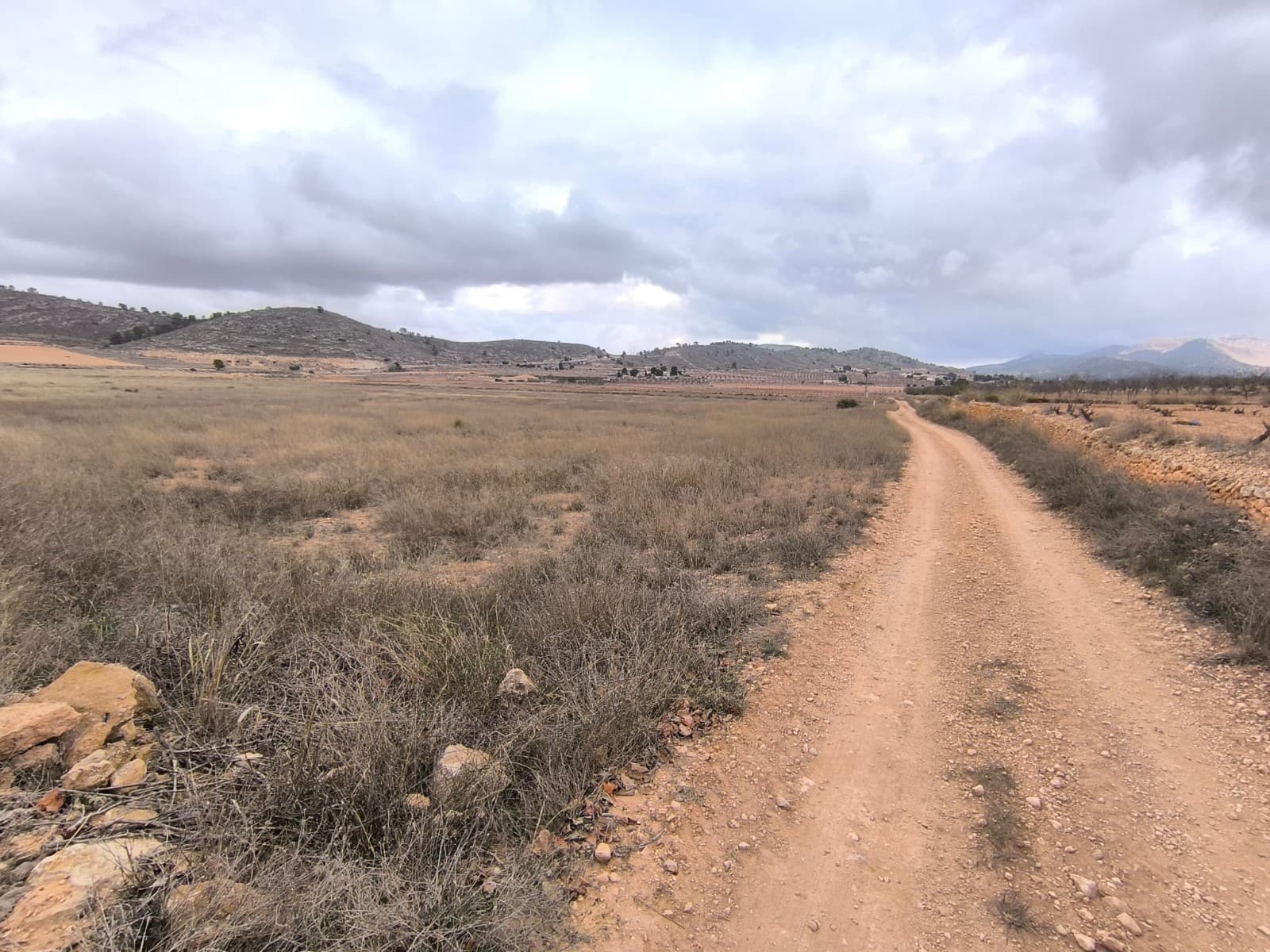 Terreno/Finca Rústica en Pinoso en venta - 49.990 € (Ref: 9471808)