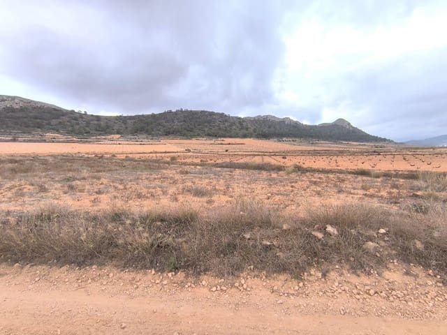 Mark till salu i L'Algueña / Alguenya - 15 500 € (Ref: 9471809)