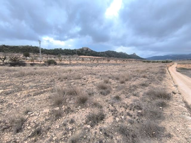 Undeveloped Land for sale in Pinoso - € 13,900 (Ref: 9471899)