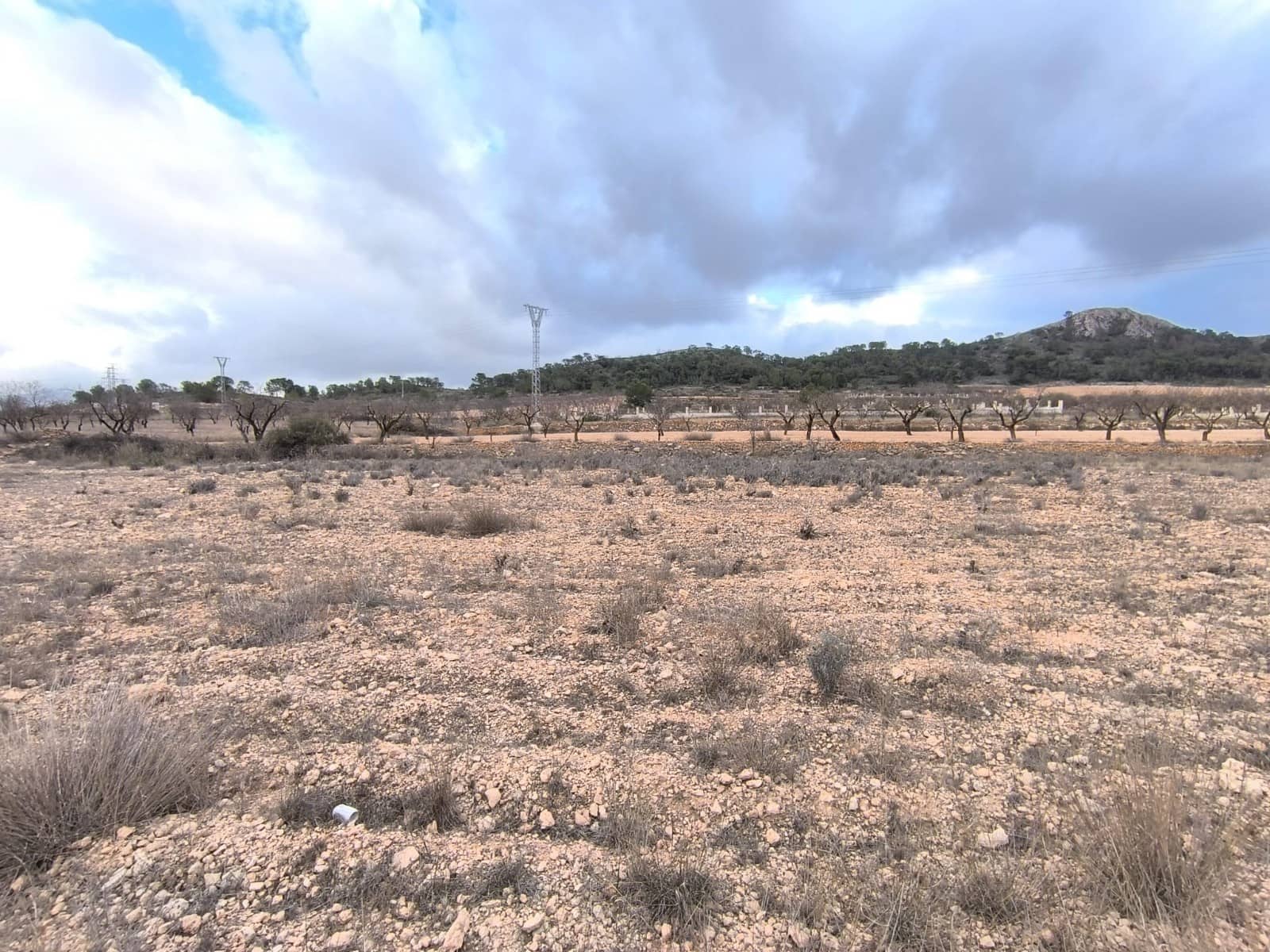 Terreno/Finca Rústica en Pinoso en venta - 13.900 € (Ref: 9471899)