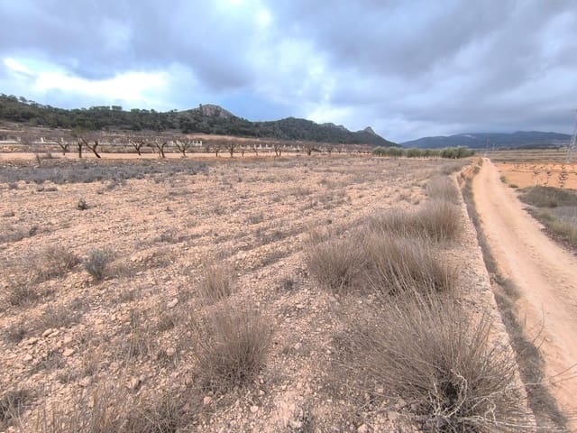 Mark till salu i L'Algueña / Alguenya - 13 900 € (Ref: 9471899)
