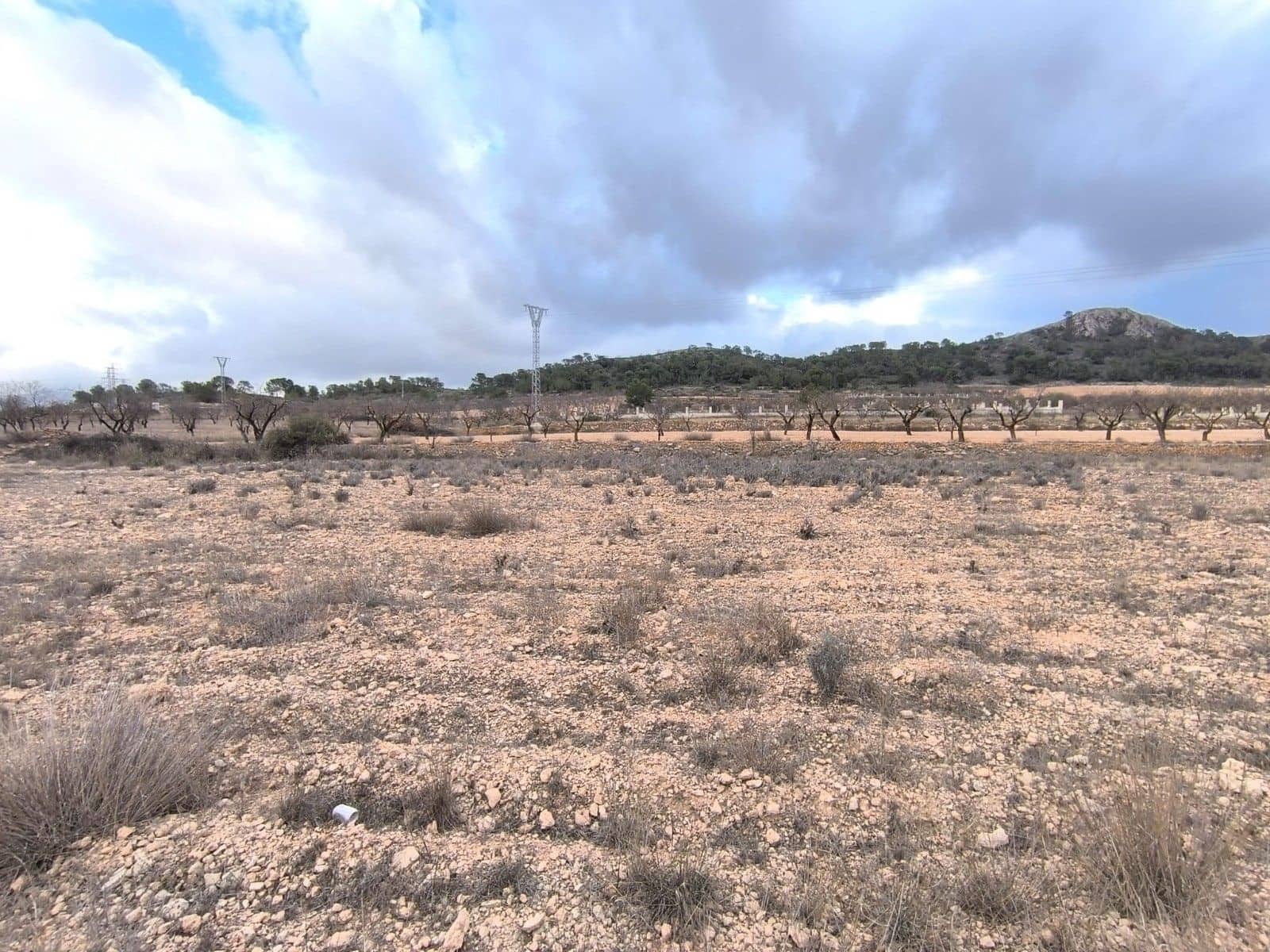 Undeveloped Land for sale in L'Alguena / Alguenya - € 13,900 (Ref: 9471899)