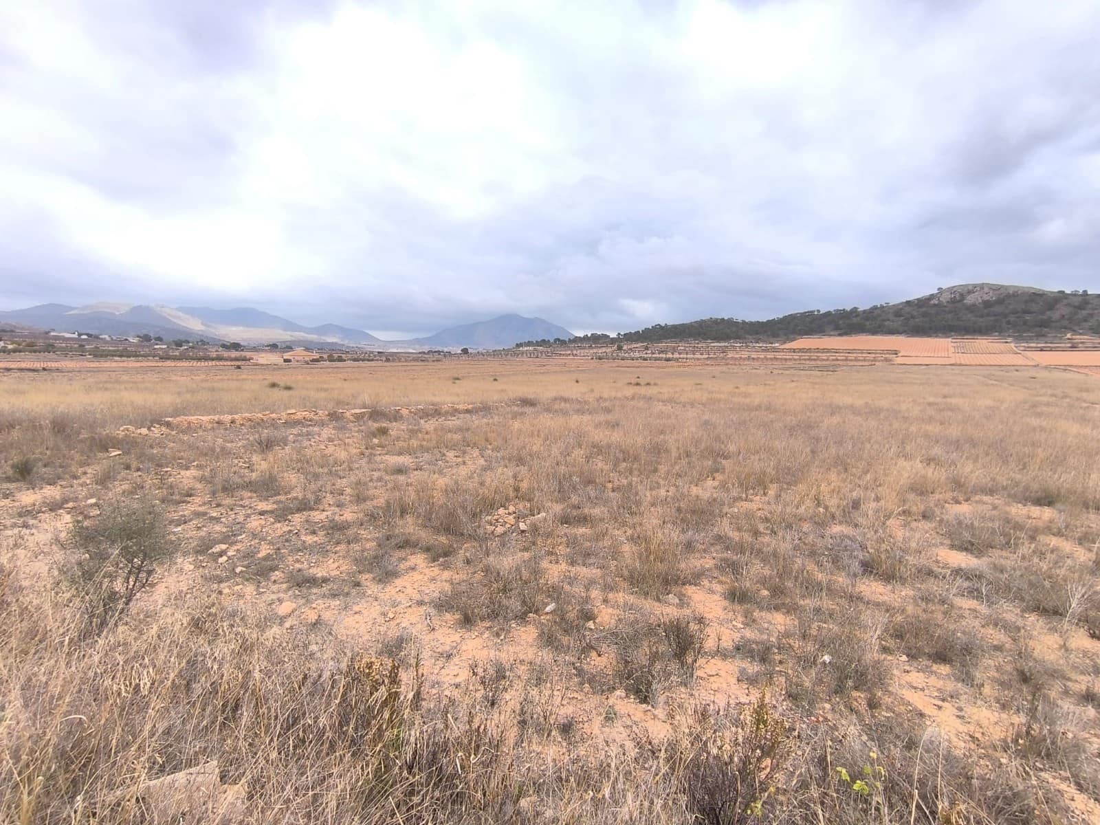 Terreno/Finca Rústica en Pinoso en venta - 28.900 € (Ref: 9471900)