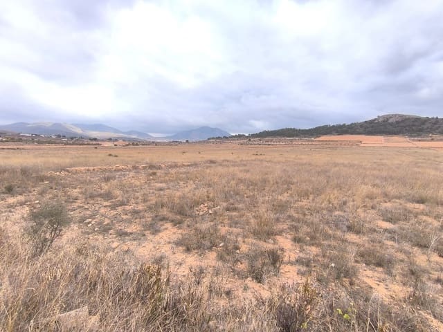 Terreno/Finca Rústica en Pinoso en venta - 28.900 € (Ref: 9471900)