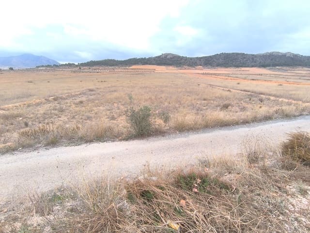 Grunde uden byggetilladelser til salg i L'Algueña / Alguenya - € 28.900 (Ref: 9471900)