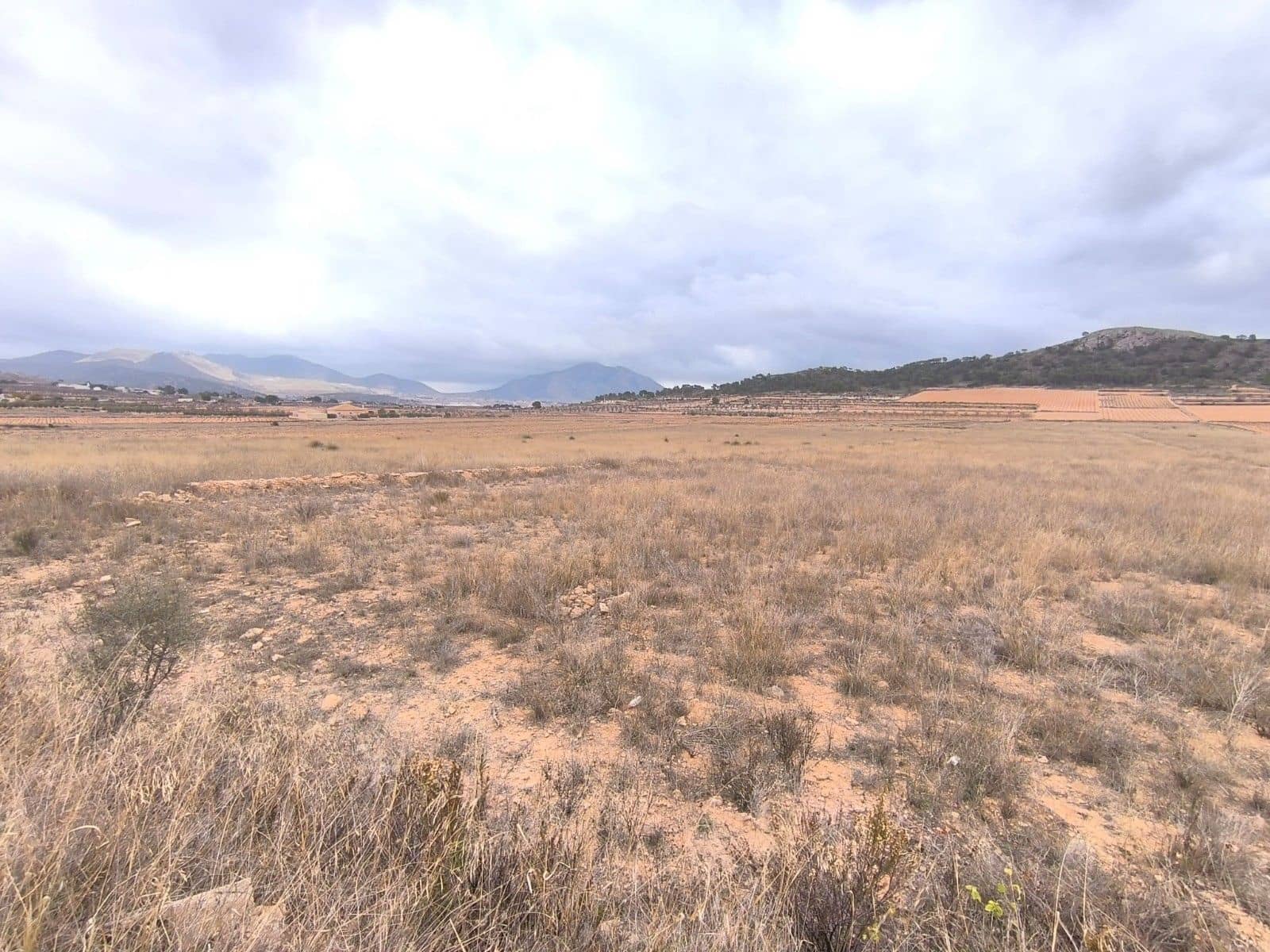 Undeveloped Land for sale in L'Alguena / Alguenya - € 28,900 (Ref: 9471900)