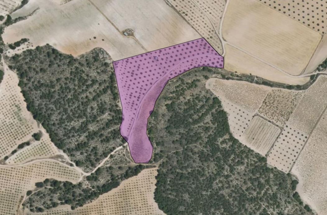 Terre non Aménagée à vendre à Yecla - 37 500 € (Ref: 9511960)