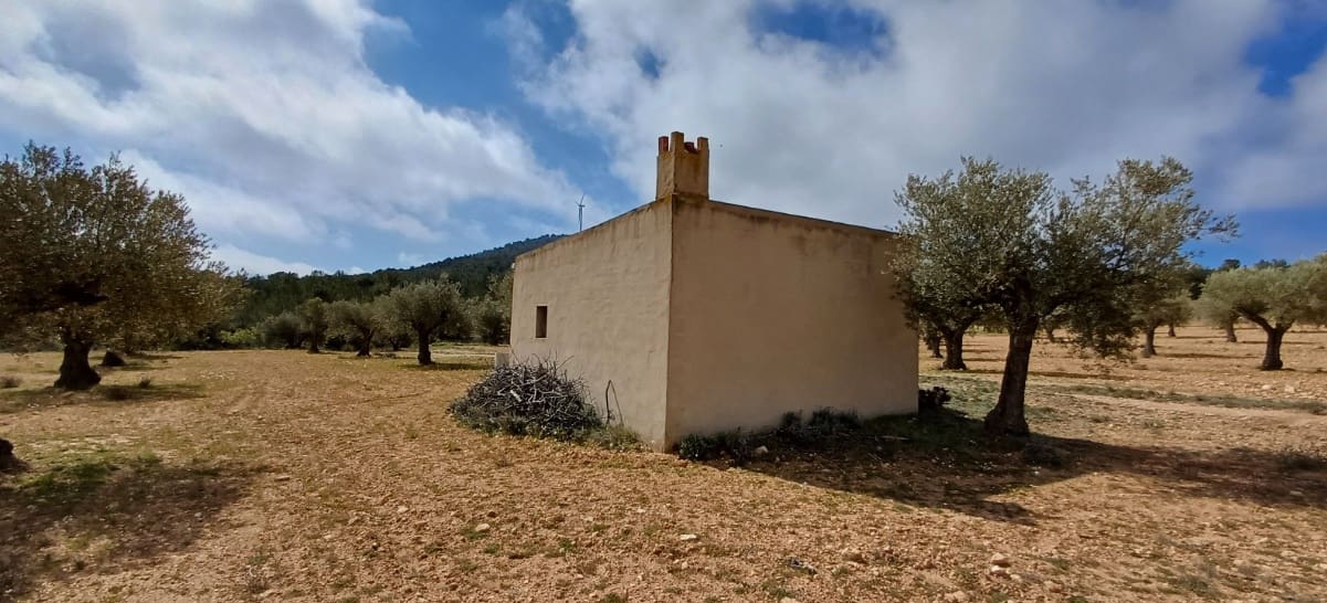Terre non Aménagée à vendre à Yecla - 37 500 € (Ref: 9511960)