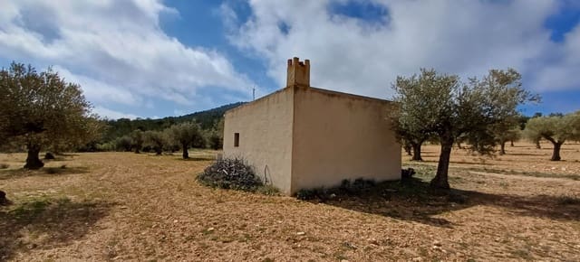 Terre non Aménagée à vendre à Yecla - 37 500 € (Ref: 9511960)