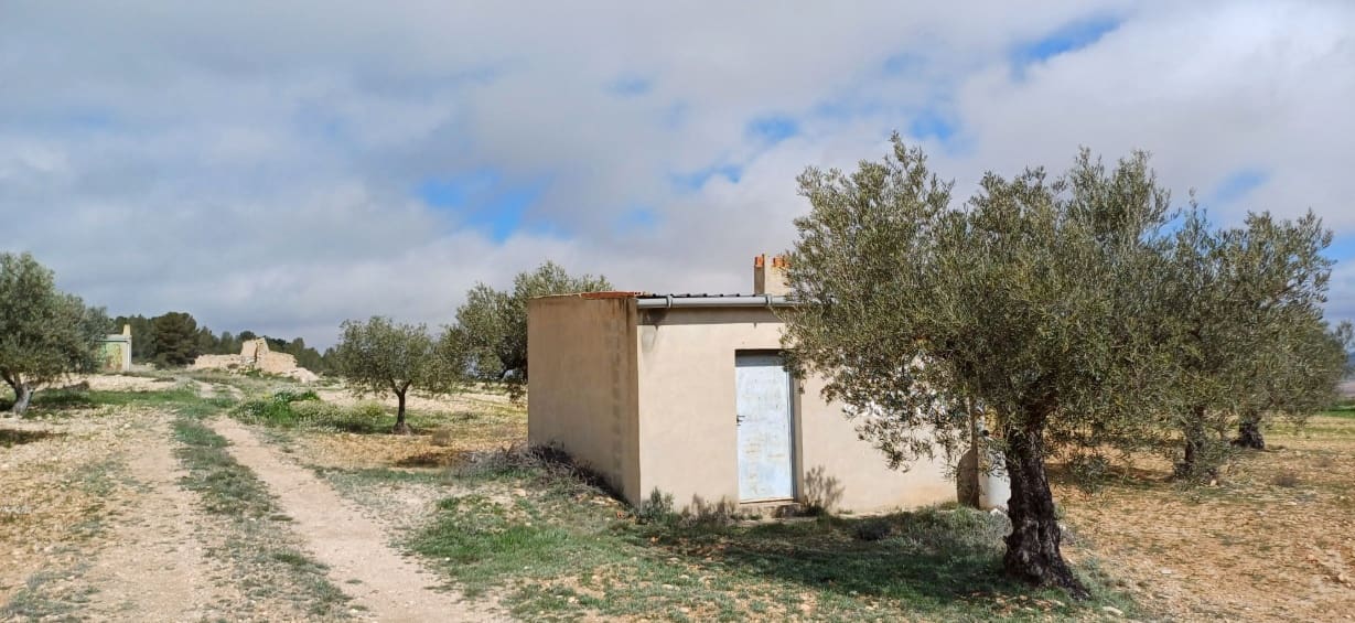 Terre non Aménagée à vendre à Yecla - 37 500 € (Ref: 9511960)