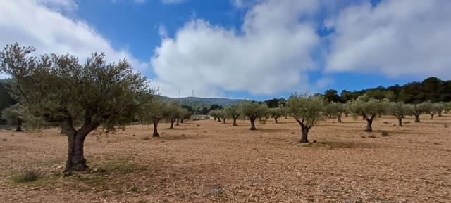 Terre non Aménagée à vendre à Yecla - 37 500 € (Ref: 9511960)