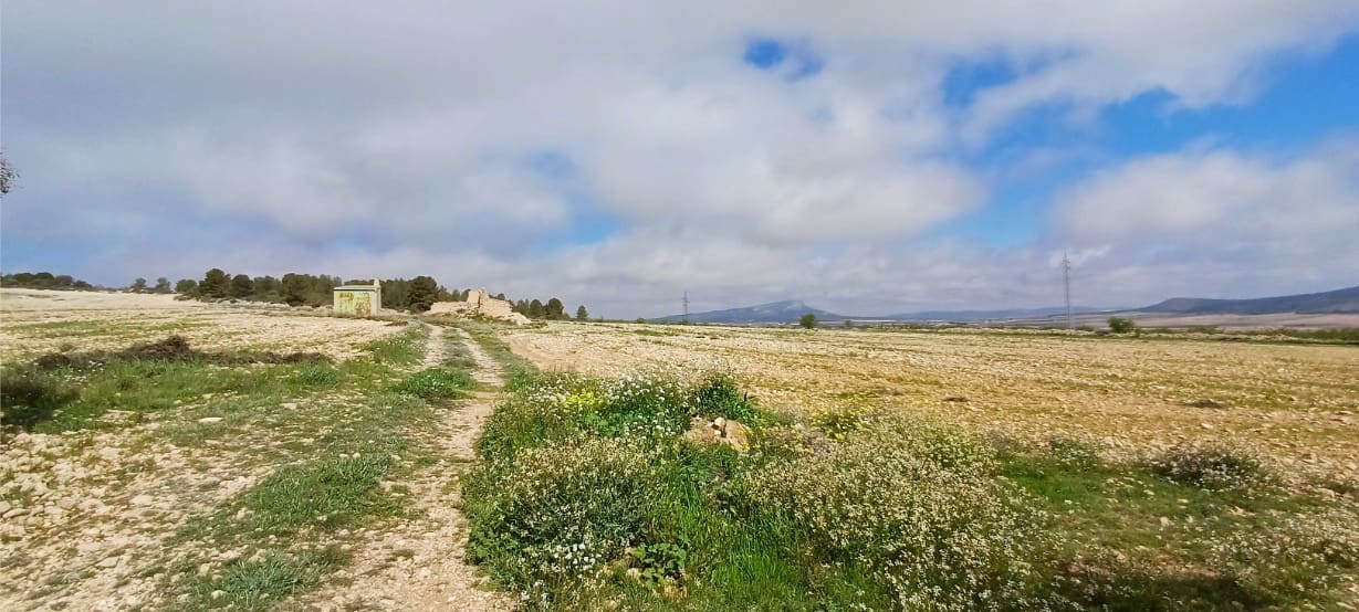 Terre non Aménagée à vendre à Yecla - 37 500 € (Ref: 9511960)