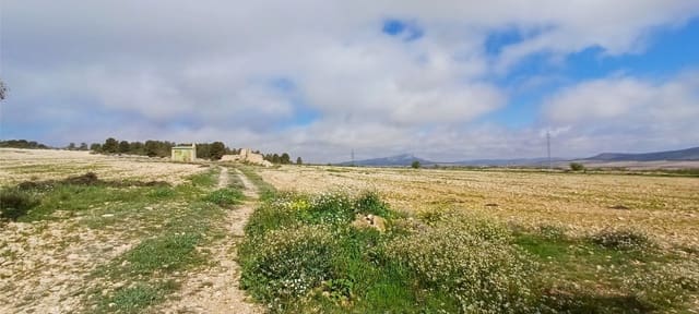 Terre non Aménagée à vendre à Yecla - 37 500 € (Ref: 9511960)