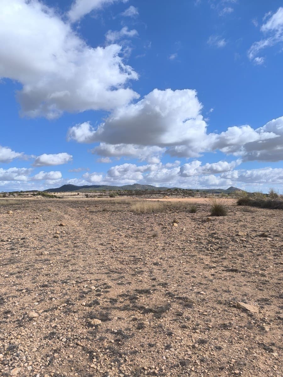 Terre non Aménagée à vendre à Pinoso - 34 995 € (Ref: 9536278)