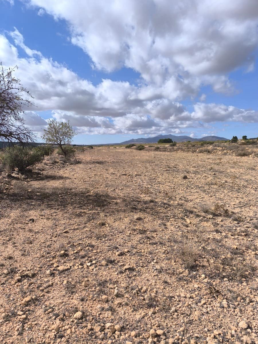 Terre non Aménagée à vendre à Pinoso - 34 995 € (Ref: 9536278)