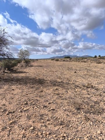 Terre non Aménagée à vendre à Pinoso - 34 995 € (Ref: 9536278)