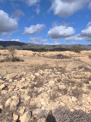 Terre non Aménagée à vendre à Pinoso - 34 995 € (Ref: 9536278)