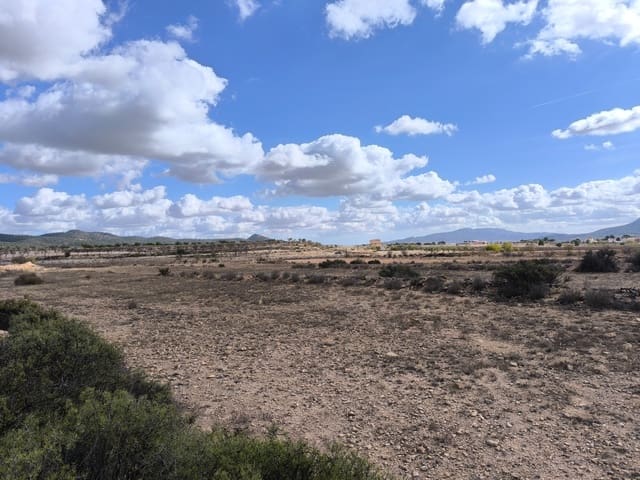 Terre non Aménagée à vendre à Pinoso - 34 995 € (Ref: 9536278)