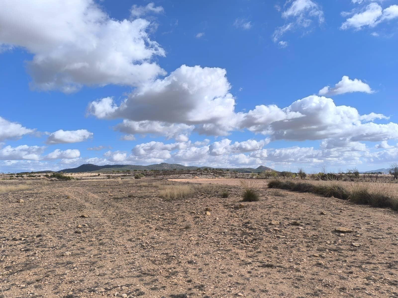 Terre non Aménagée à vendre à Pinoso - 34 995 € (Ref: 9536278)