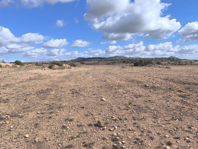 Terre non Aménagée à vendre à Pinoso - 34 995 € (Ref: 9536278)