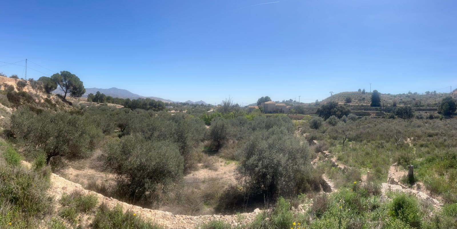 Teren niezagospodarowany na sprzedaż w Monovar / Monover - 39 995 € (Ref: 9536454)