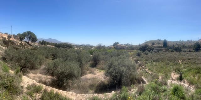 Teren niezagospodarowany na sprzedaż w Monóvar / Monóver - 39 995 € (Ref: 9536454)