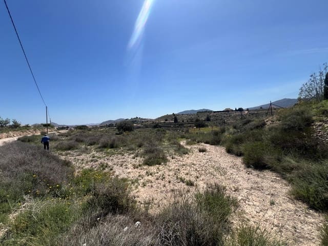 Teren niezagospodarowany na sprzedaż w Monóvar / Monóver - 39 995 € (Ref: 9536454)