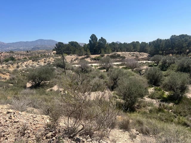 Teren niezagospodarowany na sprzedaż w Monóvar / Monóver - 39 995 € (Ref: 9536454)