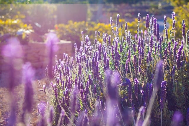 8 bedroom Finca/Country House for sale in Benissa with pool - € 1,399,994 (Ref: 9538867)